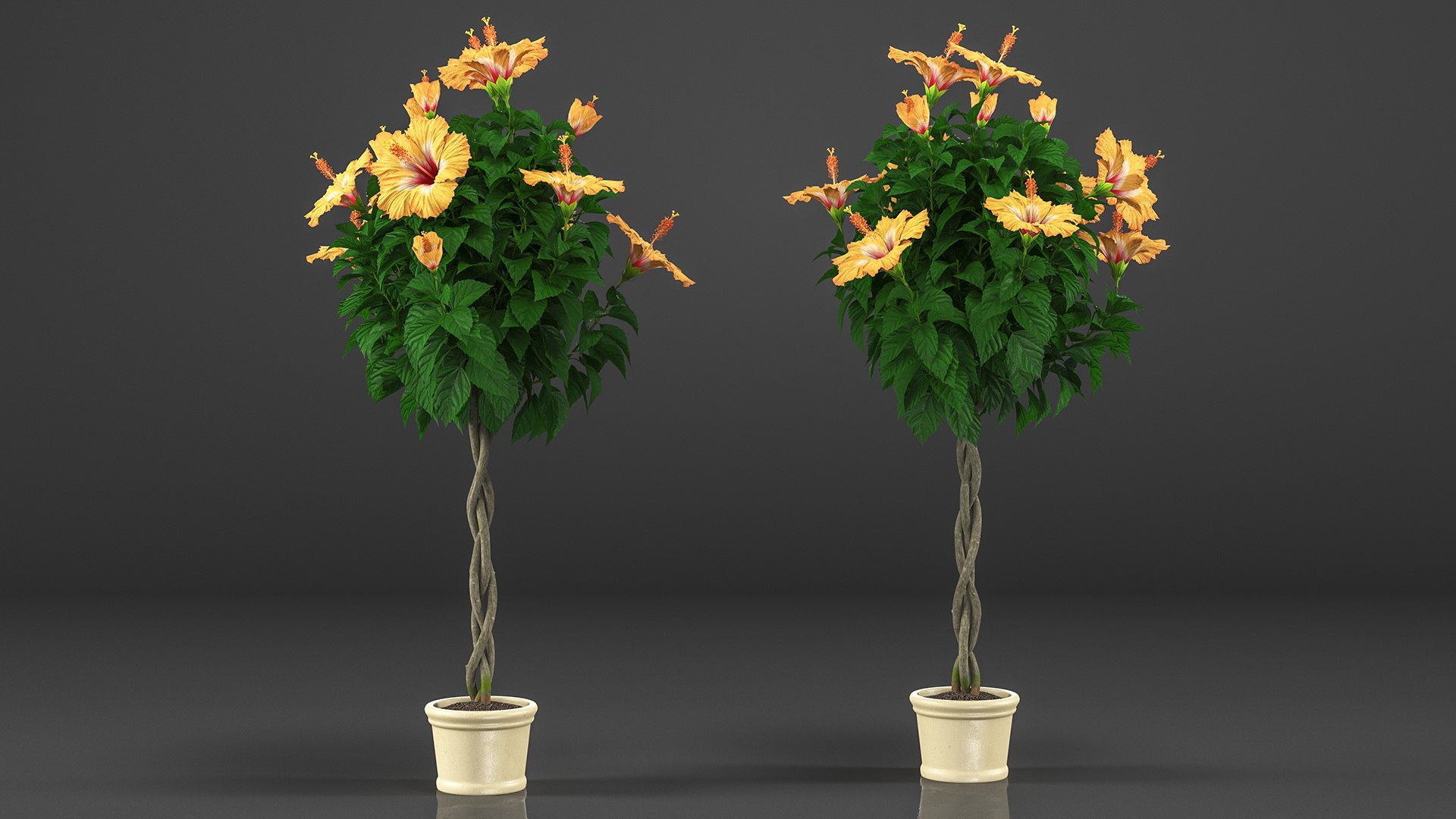3D model Flower Pots Collection 7 https://p.turbosquid.com/ts-thumb/Ev/JxSdCY/kI/flowerpotscollection7c4dmodel052/jpg/1695185020/1920x1080/fit_q87/2e583811fc1c8d789f8768c1d1e11400a63a98fb/flowerpotscollection7c4dmodel052.jpg