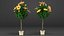 Flower Pots Collection 7