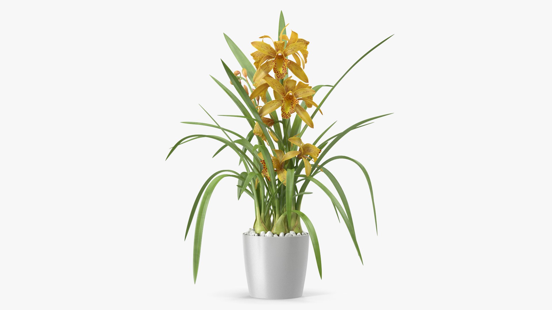 3D model Flower Pots Collection 7 https://p.turbosquid.com/ts-thumb/Ev/JxSdCY/lJ/flowerpotscollection7c4dmodel036/jpg/1695184943/1920x1080/fit_q87/2791ce763668911a178da3942bf88f04c61e19ab/flowerpotscollection7c4dmodel036.jpg