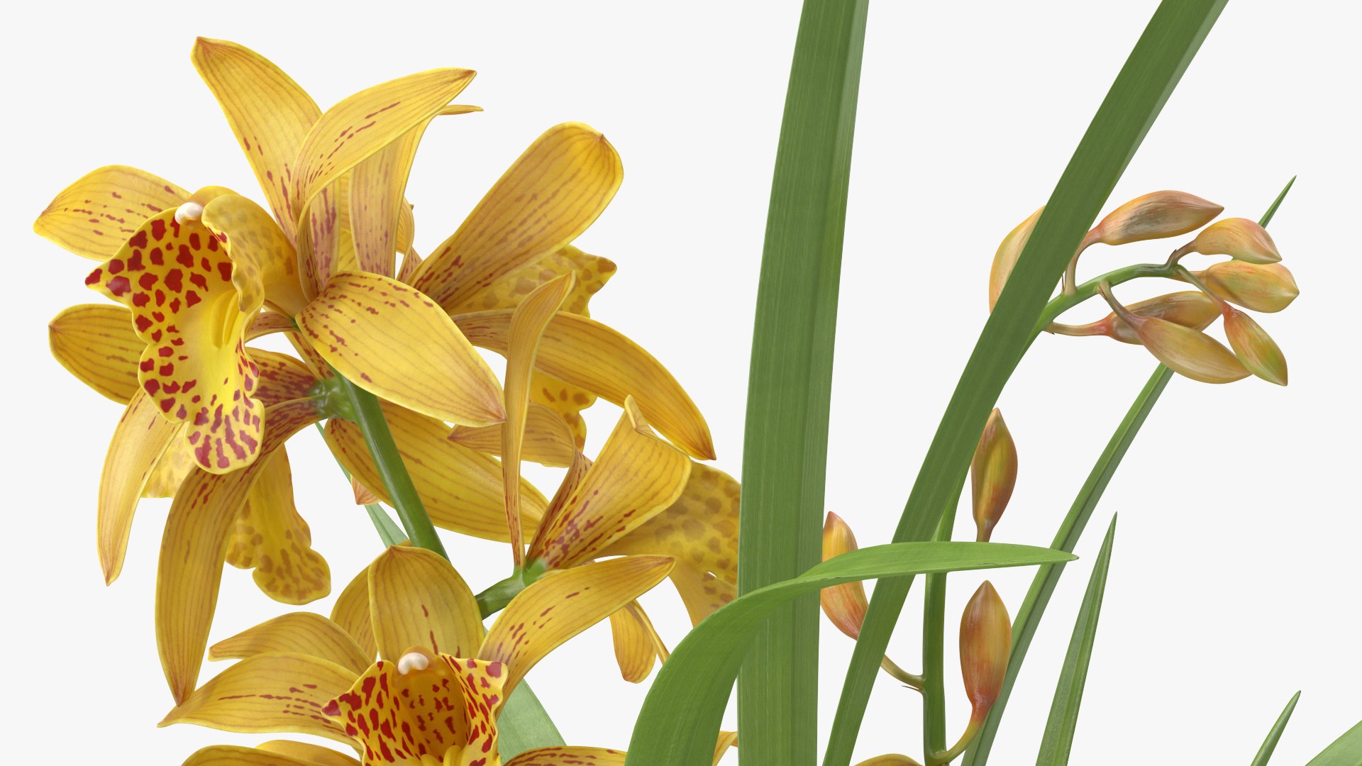 3D model Flower Pots Collection 7 https://p.turbosquid.com/ts-thumb/Ev/JxSdCY/lV/flowerpotscollection7c4dmodel046/jpg/1695184988/1920x1080/fit_q87/95999a4d74796e76138dc065815e2cfc17000350/flowerpotscollection7c4dmodel046.jpg