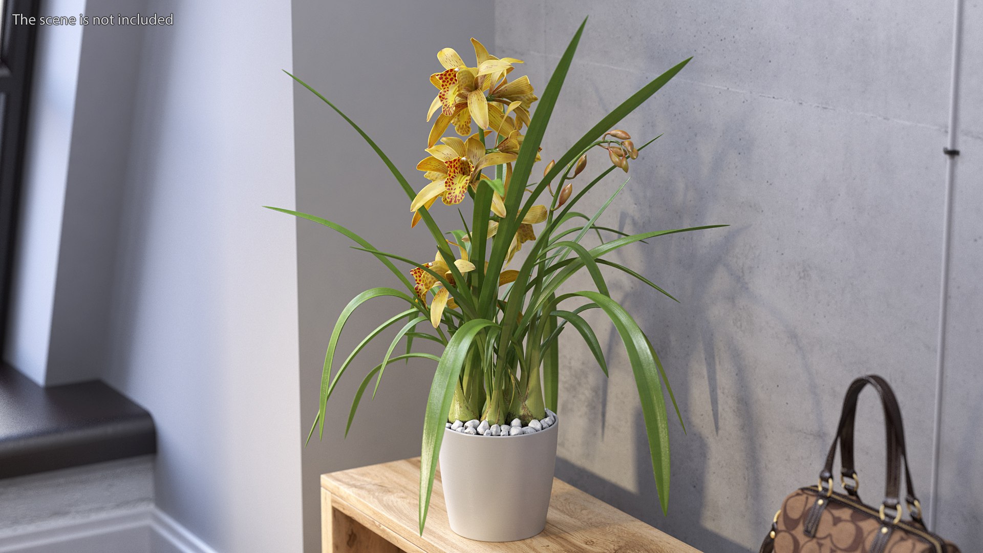 3D model Flower Pots Collection 7 https://p.turbosquid.com/ts-thumb/Ev/JxSdCY/mV/flowerpotscollection7c4dmodel031/jpg/1695184922/1920x1080/fit_q87/a6bd6a3989218be5e918d81026933eb9ee00a97a/flowerpotscollection7c4dmodel031.jpg