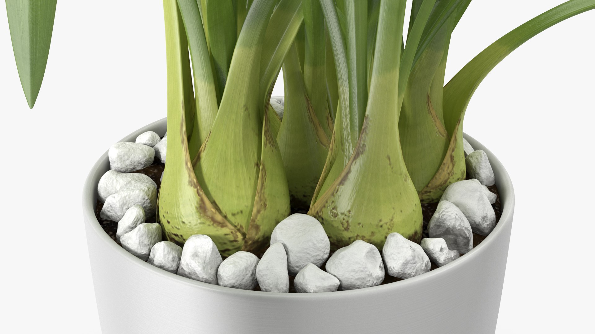 3D model Flower Pots Collection 7 https://p.turbosquid.com/ts-thumb/Ev/JxSdCY/qW/flowerpotscollection7c4dmodel040/jpg/1695184960/1920x1080/fit_q87/412f652b8df3d518547656c210ec85525e2928a1/flowerpotscollection7c4dmodel040.jpg