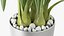 Flower Pots Collection 7