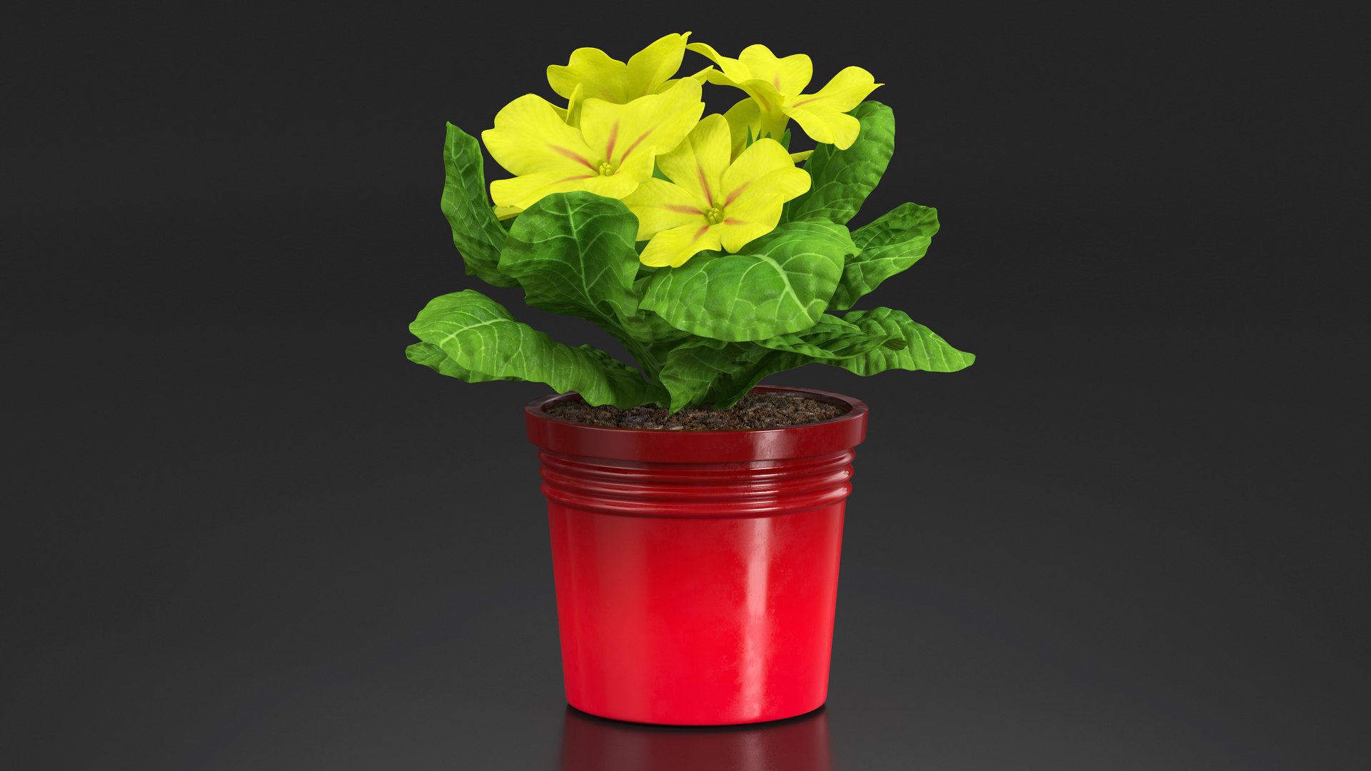 3D model Flower Pots Collection 7 https://p.turbosquid.com/ts-thumb/Ev/JxSdCY/r1/flowerpotscollection7c4dmodel015/jpg/1695184874/1920x1080/fit_q87/f634d7a09d60e8ac154658cd3d2c255e891ce648/flowerpotscollection7c4dmodel015.jpg