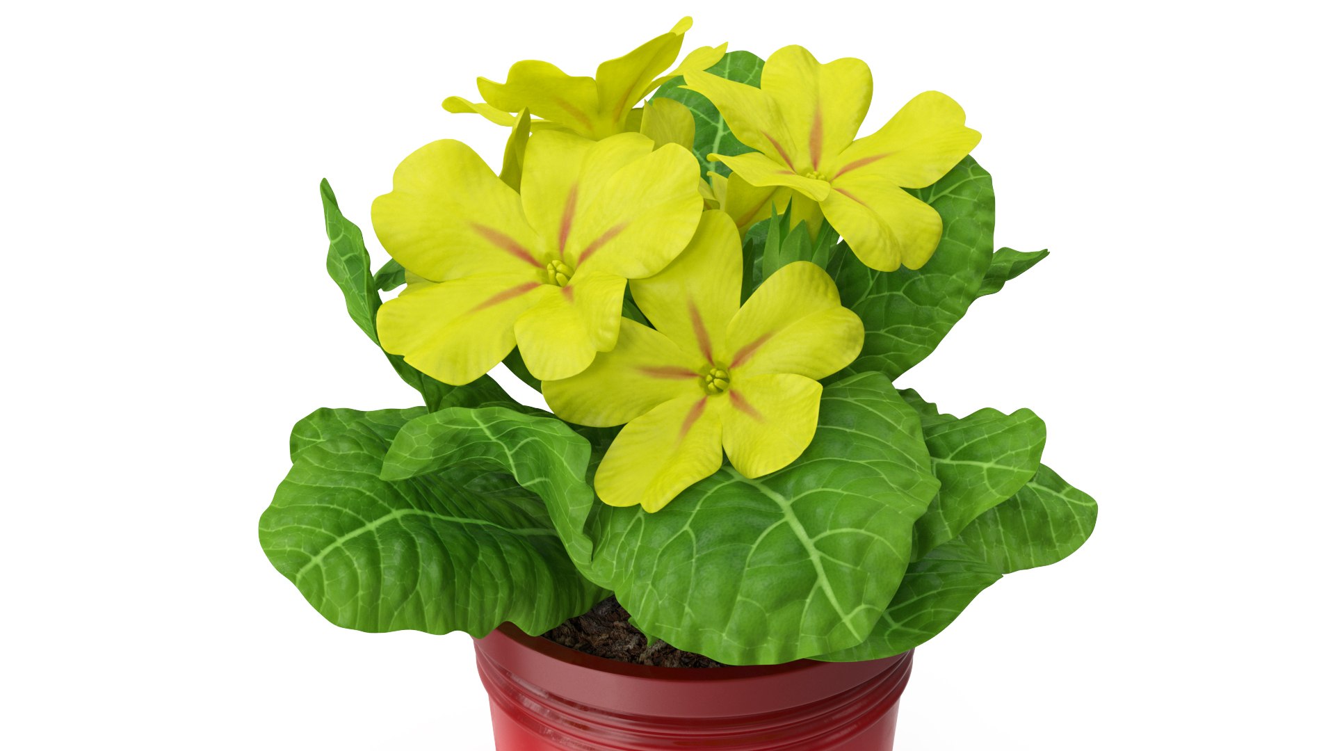 3D model Flower Pots Collection 7 https://p.turbosquid.com/ts-thumb/Ev/JxSdCY/rc/flowerpotscollection7c4dmodel019/jpg/1695184890/1920x1080/fit_q87/5d3af870d9d313aadffc1f35d6ba68254f542e43/flowerpotscollection7c4dmodel019.jpg