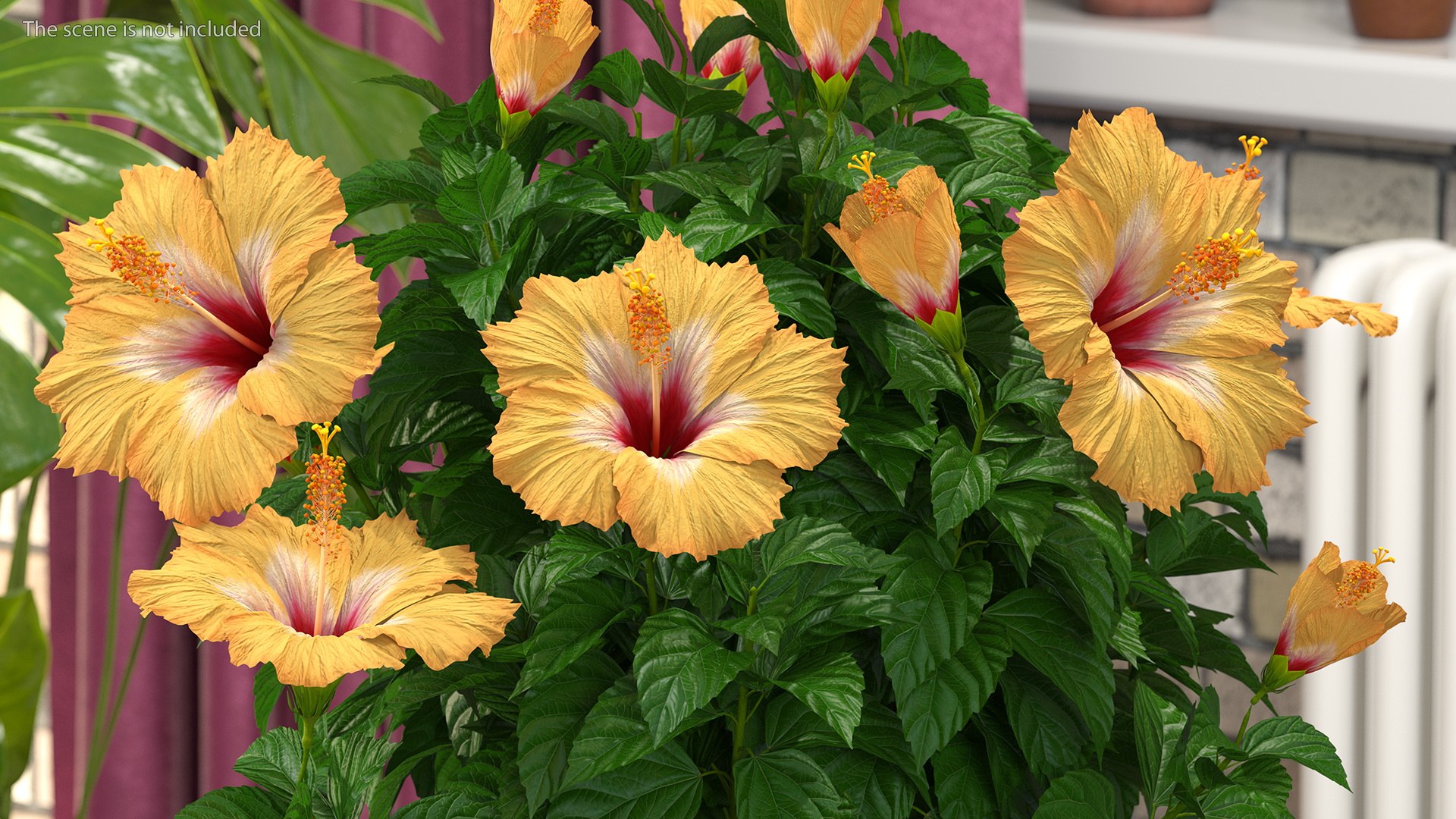 3D model Flower Pots Collection 7 https://p.turbosquid.com/ts-thumb/Ev/JxSdCY/rr/flowerpotscollection7c4dmodel049/jpg/1695185005/1920x1080/fit_q87/1c49da2b130388e0df0e7fc9617a01104bd8f10e/flowerpotscollection7c4dmodel049.jpg