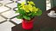Flower Pots Collection 7