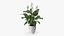 Flower Pots Collection 7