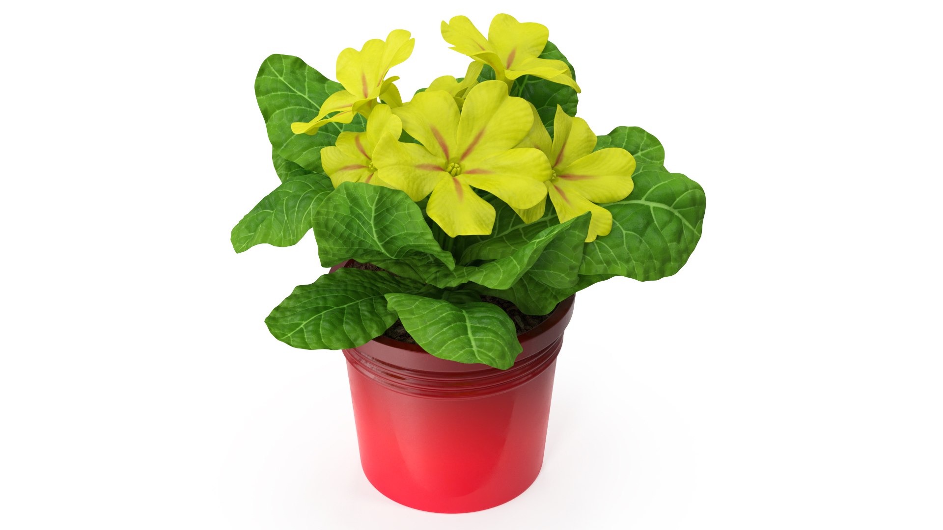 3D model Flower Pots Collection 7 https://p.turbosquid.com/ts-thumb/Ev/JxSdCY/wt/flowerpotscollection7c4dmodel018/jpg/1695184887/1920x1080/fit_q87/1f76f71d739aa786712b103d5939cbc5b7e66a92/flowerpotscollection7c4dmodel018.jpg
