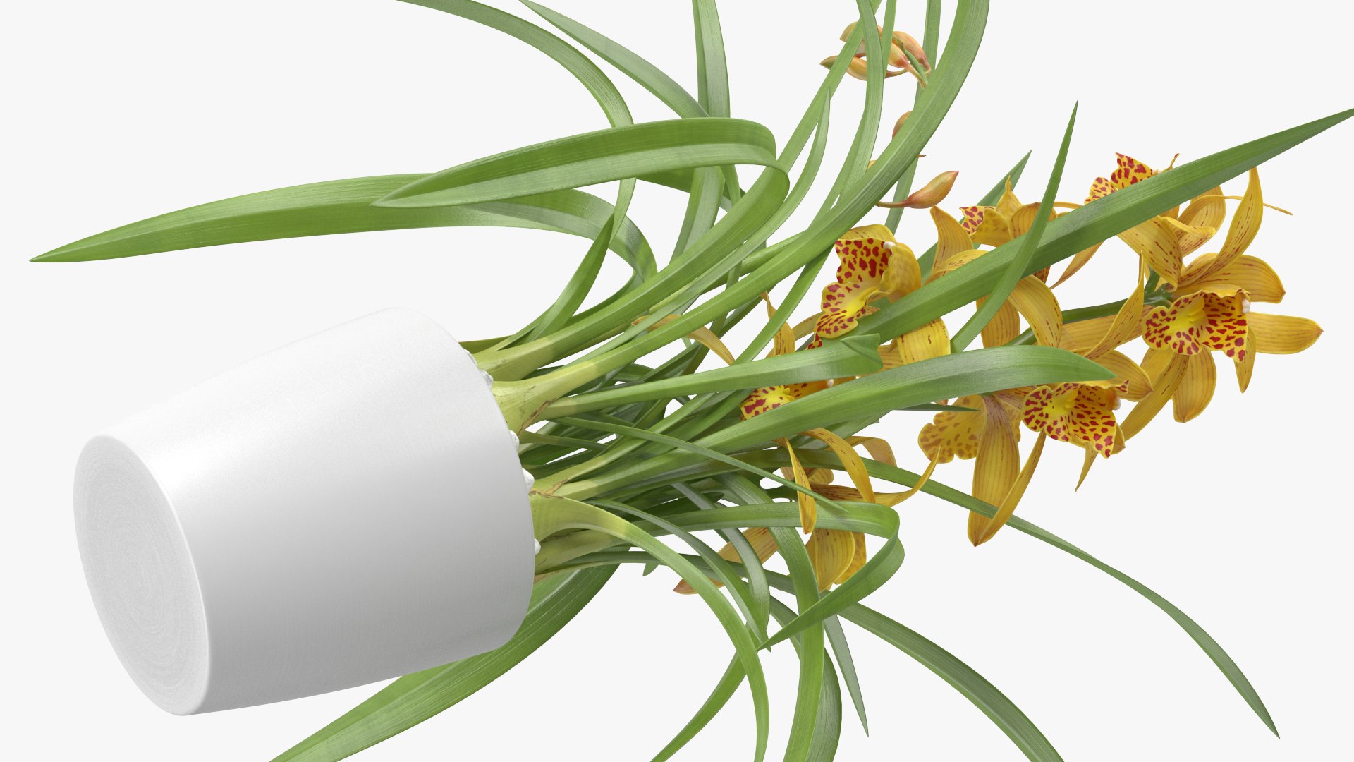 3D model Flower Pots Collection 7 https://p.turbosquid.com/ts-thumb/Ev/JxSdCY/yX/flowerpotscollection7c4dmodel039/jpg/1695184955/1920x1080/fit_q87/6ea9fd5ffa5cb365b8ad4192c8630197deee06eb/flowerpotscollection7c4dmodel039.jpg