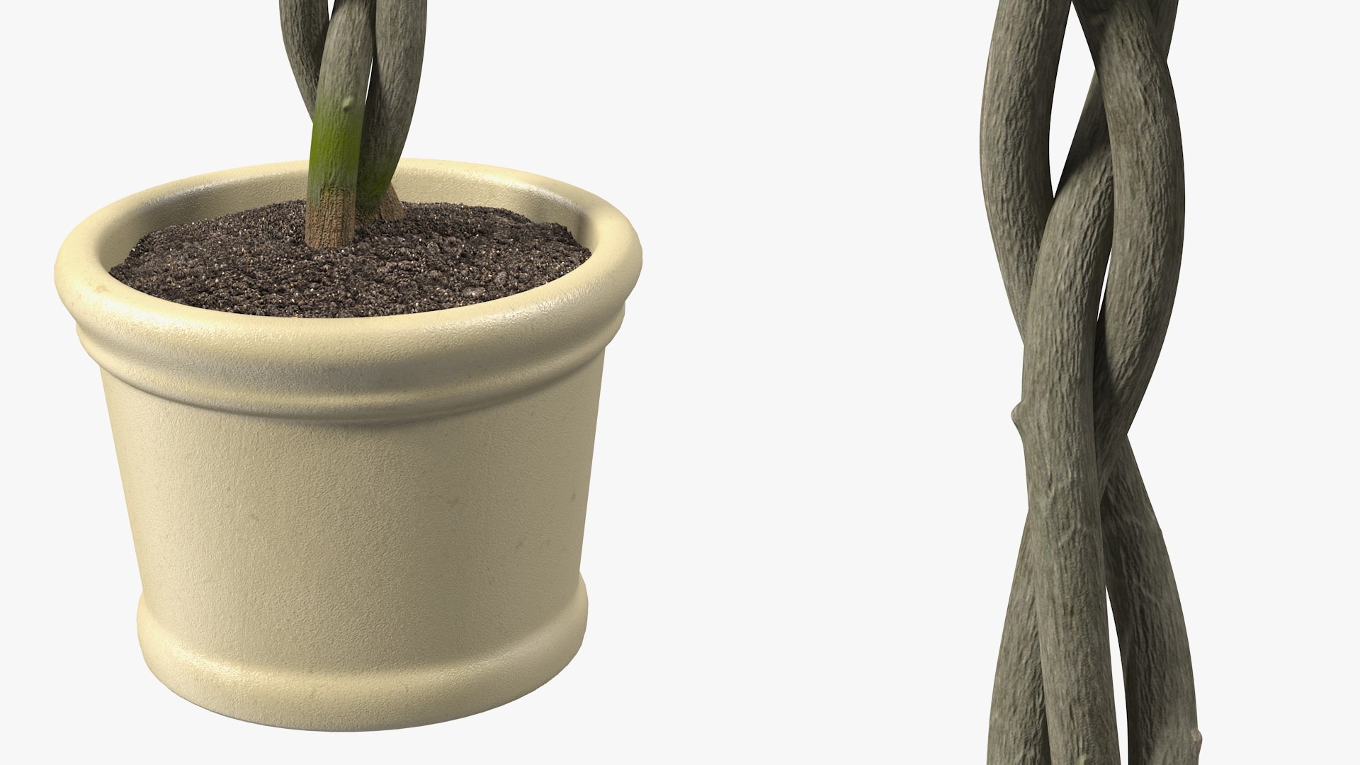 3D model Flower Pots Collection 7 https://p.turbosquid.com/ts-thumb/Ev/JxSdCY/zk/flowerpotscollection7c4dmodel061/jpg/1695185062/1920x1080/fit_q87/b90dcdb4e97f125d305abca322dd96eefff66e96/flowerpotscollection7c4dmodel061.jpg