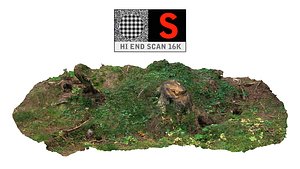 forest clump roots 3d max