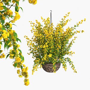 Blooming Hanging Flower Basket Yellow model