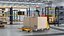 Transpallet manuale Lion con scatole attrezzate