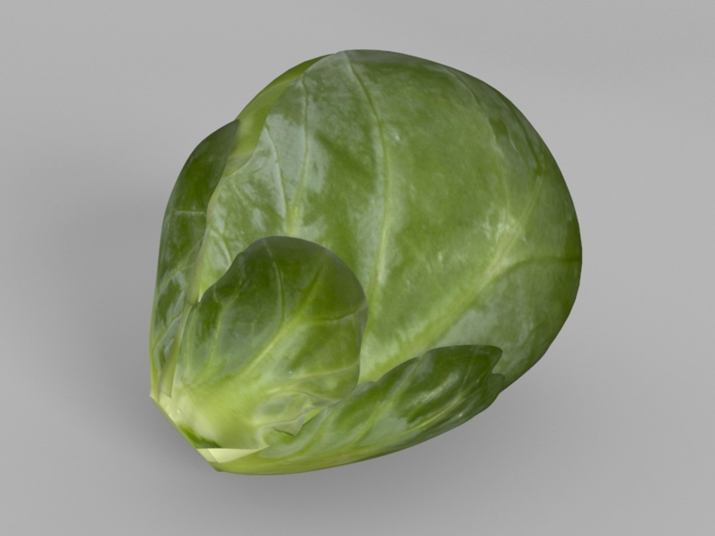 brussels sprouts 3d model https://p.turbosquid.com/ts-thumb/Ew/EC5YlZ/NNCgbWqa/brussels_sprouts_04/jpg/1448498444/1920x1080/fit_q87/ce1d7207d73c40cd9f40cda0cd1d800d1b8abc55/brussels_sprouts_04.jpg