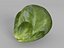 Brussels Sprouts