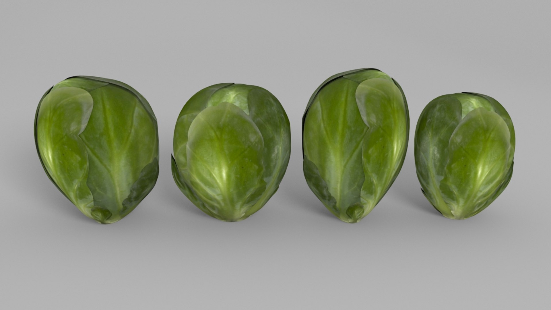 brussels sprouts 3d model https://p.turbosquid.com/ts-thumb/Ew/EC5YlZ/UjxBIHZ3/brussels_sprouts_07/jpg/1448498444/1920x1080/fit_q87/4d7dbde9a2f39136da183277b57a06ae683e6343/brussels_sprouts_07.jpg