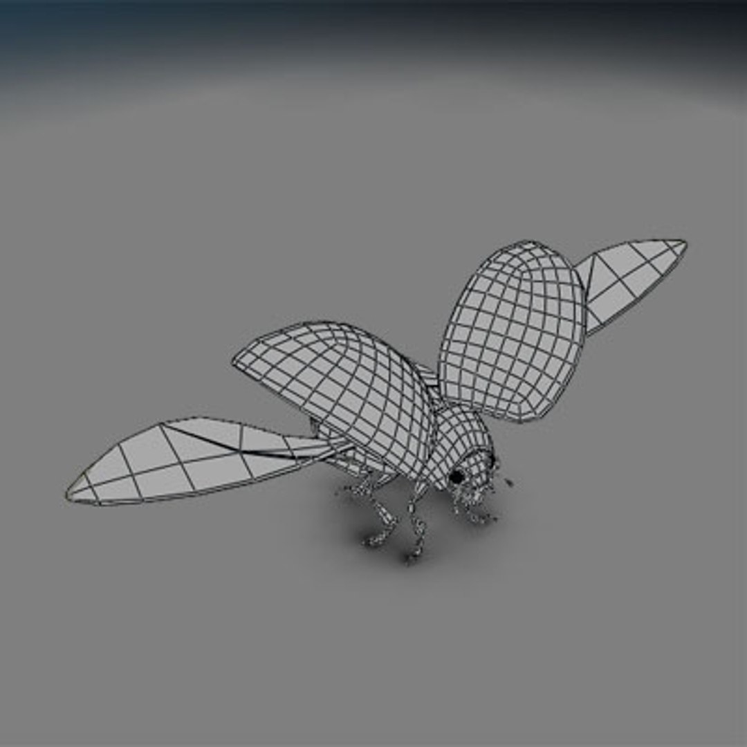 3d Ladybug Rigged
