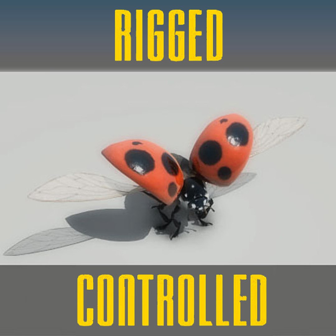 3d Ladybug Rigged