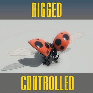 Ladybug Rigged