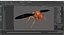 Drosophila Rigged for Maya 3D model