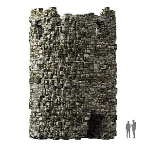 3D Old tower n1