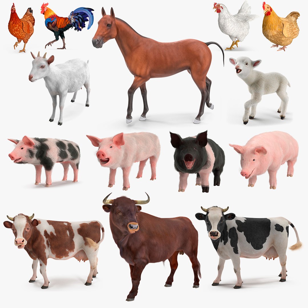 Rigged Farm Animals Big Collection 3 3D model preview
