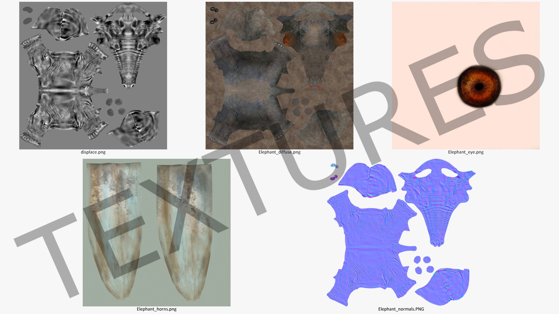 elephant running animal rigged 3D model https://p.turbosquid.com/ts-thumb/Ew/osPp7O/JjdJYXX9/animatedelephantrunningfurriggedvray3dmodel015/jpg/1569249941/1920x1080/fit_q87/56c3691feebe3017c311ea0f5265d7ce34992e83/animatedelephantrunningfurriggedvray3dmodel015.jpg