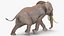 elephant running animal rigged 3D model