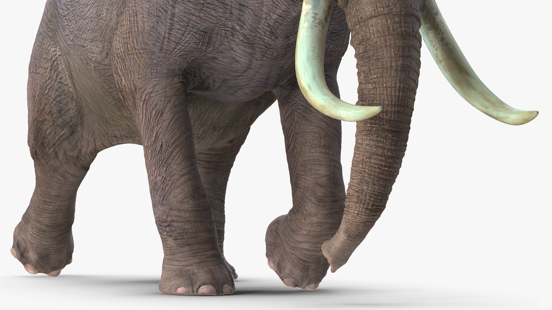elephant running animal rigged 3D model https://p.turbosquid.com/ts-thumb/Ew/osPp7O/WHGPy4lx/animatedelephantrunningfurriggedvray3dmodel008/jpg/1569249907/1920x1080/fit_q87/7d7b7b9579c7c325bb71f00b6499b5eee54a6b08/animatedelephantrunningfurriggedvray3dmodel008.jpg