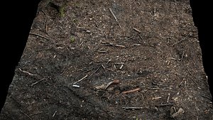 forest burned ground tree debris photogrammetry 3D