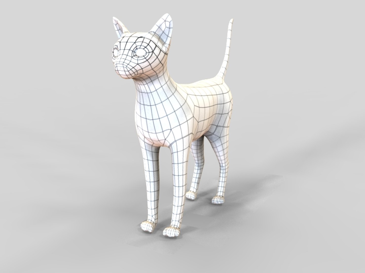 Cat Ready : 3d Model