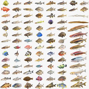 3D model 100 Fish Sea Creatures Collection v5
