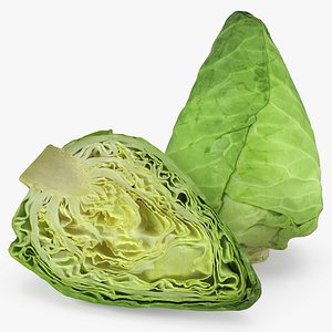 sweetheart cabbage 3D