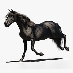 Horse animated