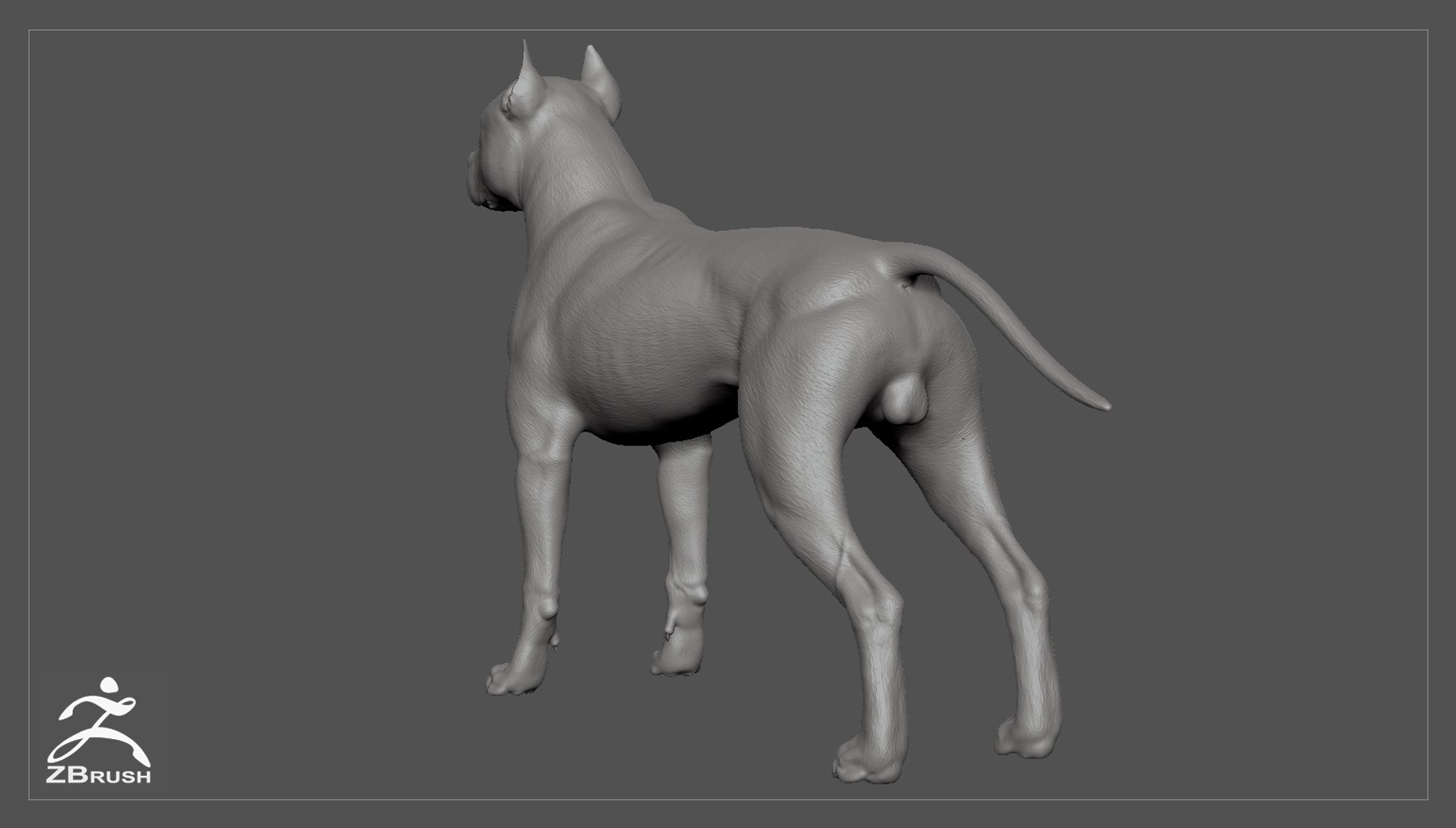 3ds guard dog pack https://p.turbosquid.com/ts-thumb/Ex/GFacbU/0TBVv4zz/pitbull_by_alexlashko_zbrush_05/jpg/1472648064/1920x1080/fit_q87/c12cf8c940eb31284860131ba711ea5a3749e59a/pitbull_by_alexlashko_zbrush_05.jpg