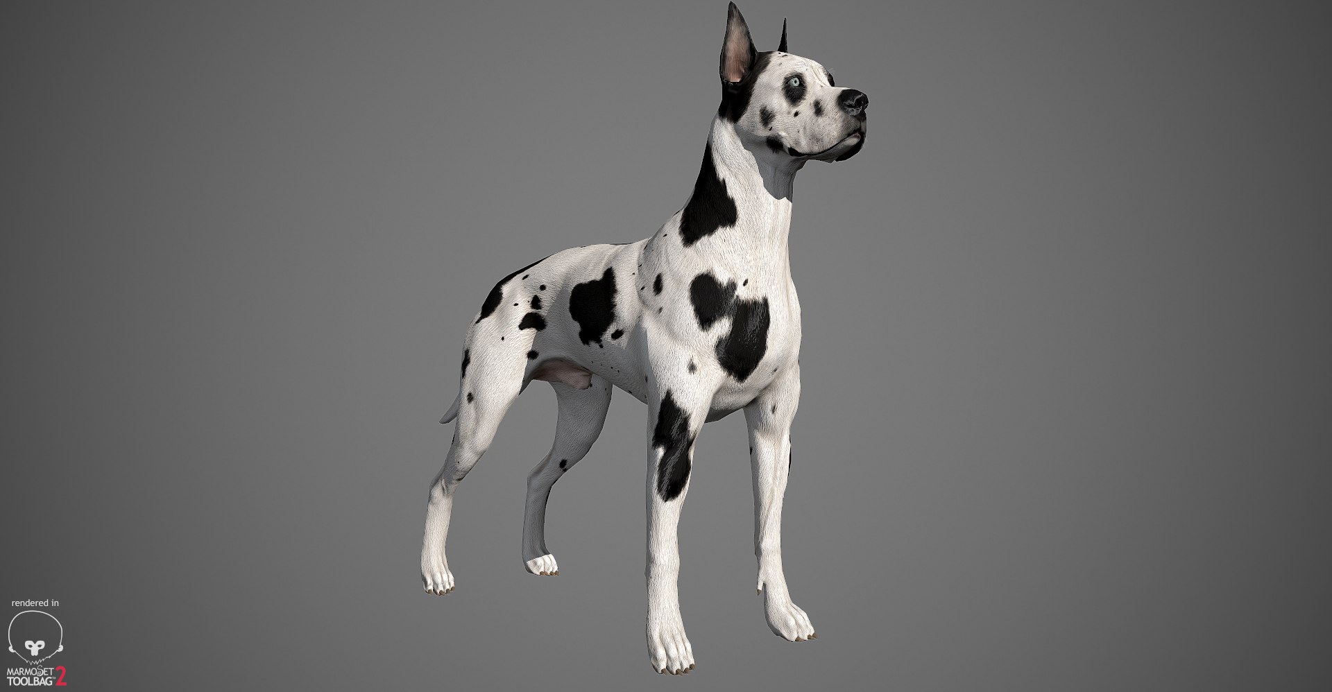 3ds guard dog pack https://p.turbosquid.com/ts-thumb/Ex/GFacbU/1nxMIVAl/greatdane_marmoset_harl_01/jpg/1472653257/1920x1080/fit_q87/e89a6fe436f2593f34ebf79d7f5850099686ef6c/greatdane_marmoset_harl_01.jpg
