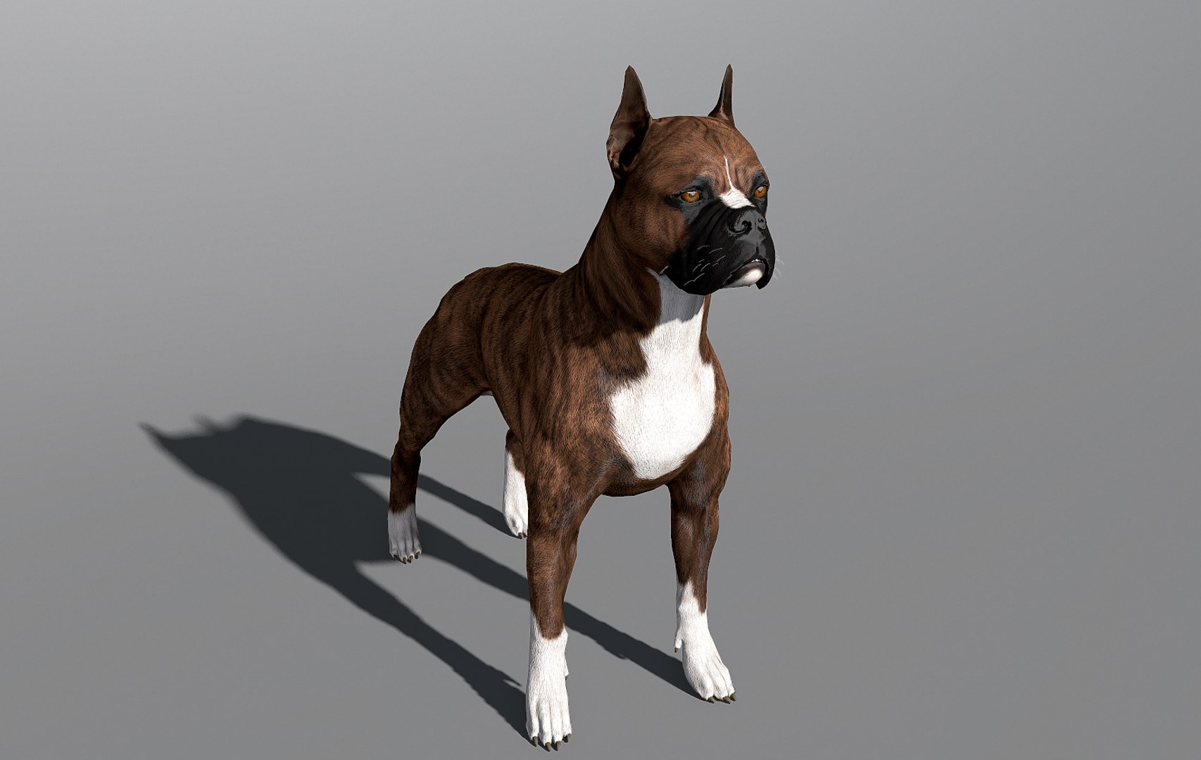 3ds guard dog pack https://p.turbosquid.com/ts-thumb/Ex/GFacbU/528vAB29/boxer_by_alexlashko_preview_16/jpg/1472652138/1920x1080/fit_q87/0ed41182f84c30148982c335135f7f423d5dcd21/boxer_by_alexlashko_preview_16.jpg