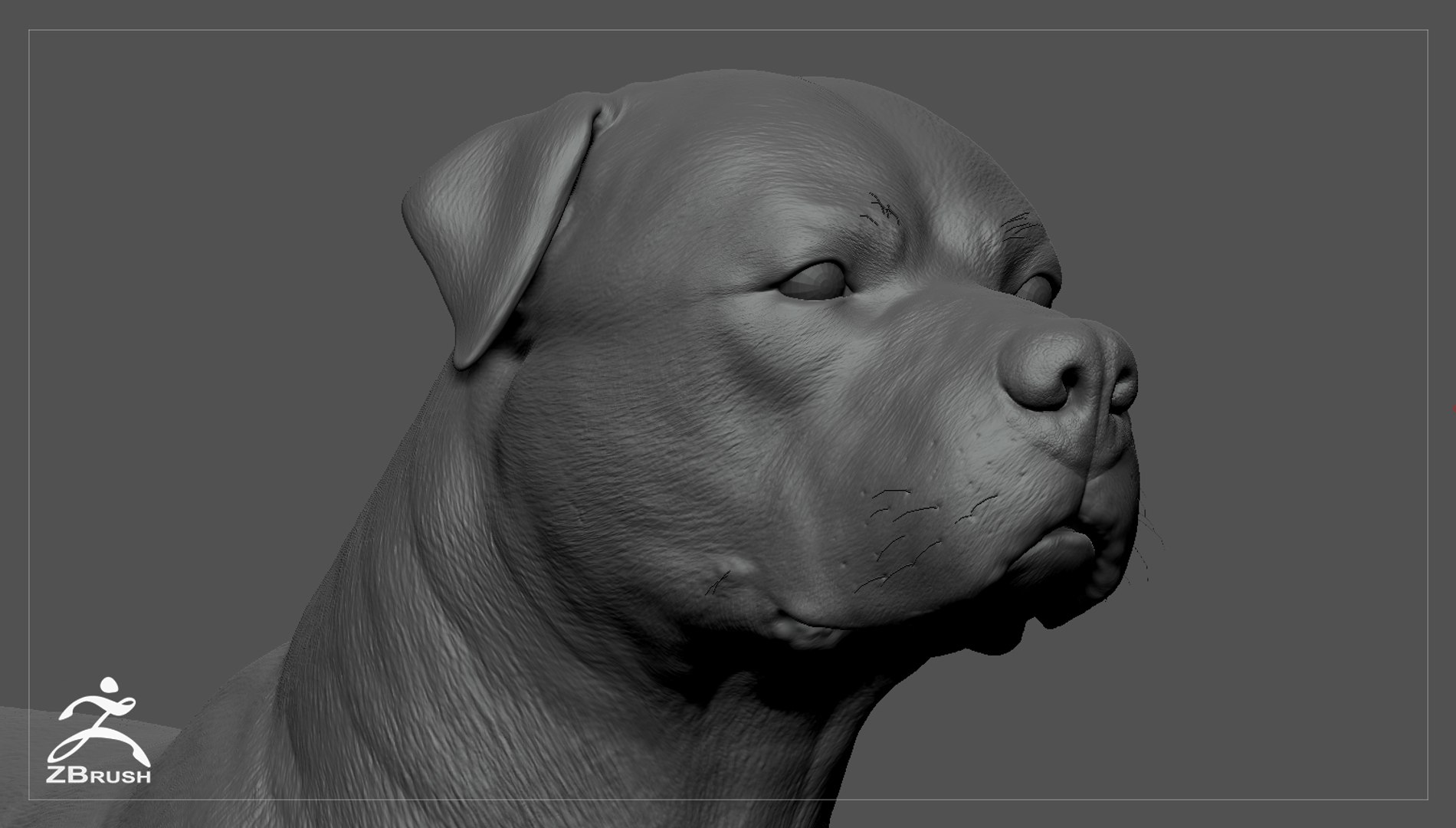 3ds guard dog pack https://p.turbosquid.com/ts-thumb/Ex/GFacbU/5Bq96tZi/rottweiler_zbrush_06/jpg/1472651285/1920x1080/fit_q87/ea425f15cd5704c6af5730dd901eba86e62830dc/rottweiler_zbrush_06.jpg