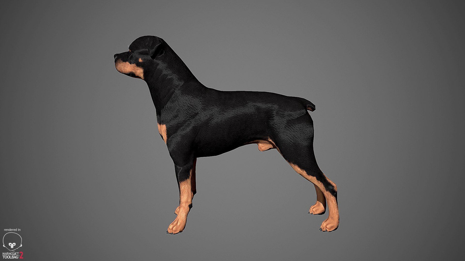 3ds guard dog pack https://p.turbosquid.com/ts-thumb/Ex/GFacbU/5hWo0psb/rottweiler_by_alexlashko_marmoset_11/png/1472649708/1920x1080/fit_q87/d075c0ca2c33f486f5d86111ab05972f6c930dc1/rottweiler_by_alexlashko_marmoset_11.jpg
