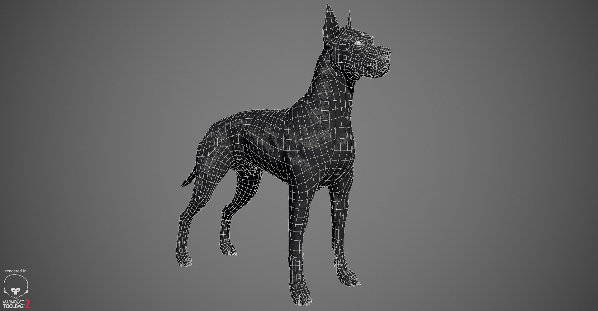 3ds guard dog pack https://p.turbosquid.com/ts-thumb/Ex/GFacbU/86M0jFe4/greatdane_wireframe_01/jpg/1472653444/1920x1080/fit_q87/d98ba2bdcb2ccee162f50c93f1fc75b834acf145/greatdane_wireframe_01.jpg