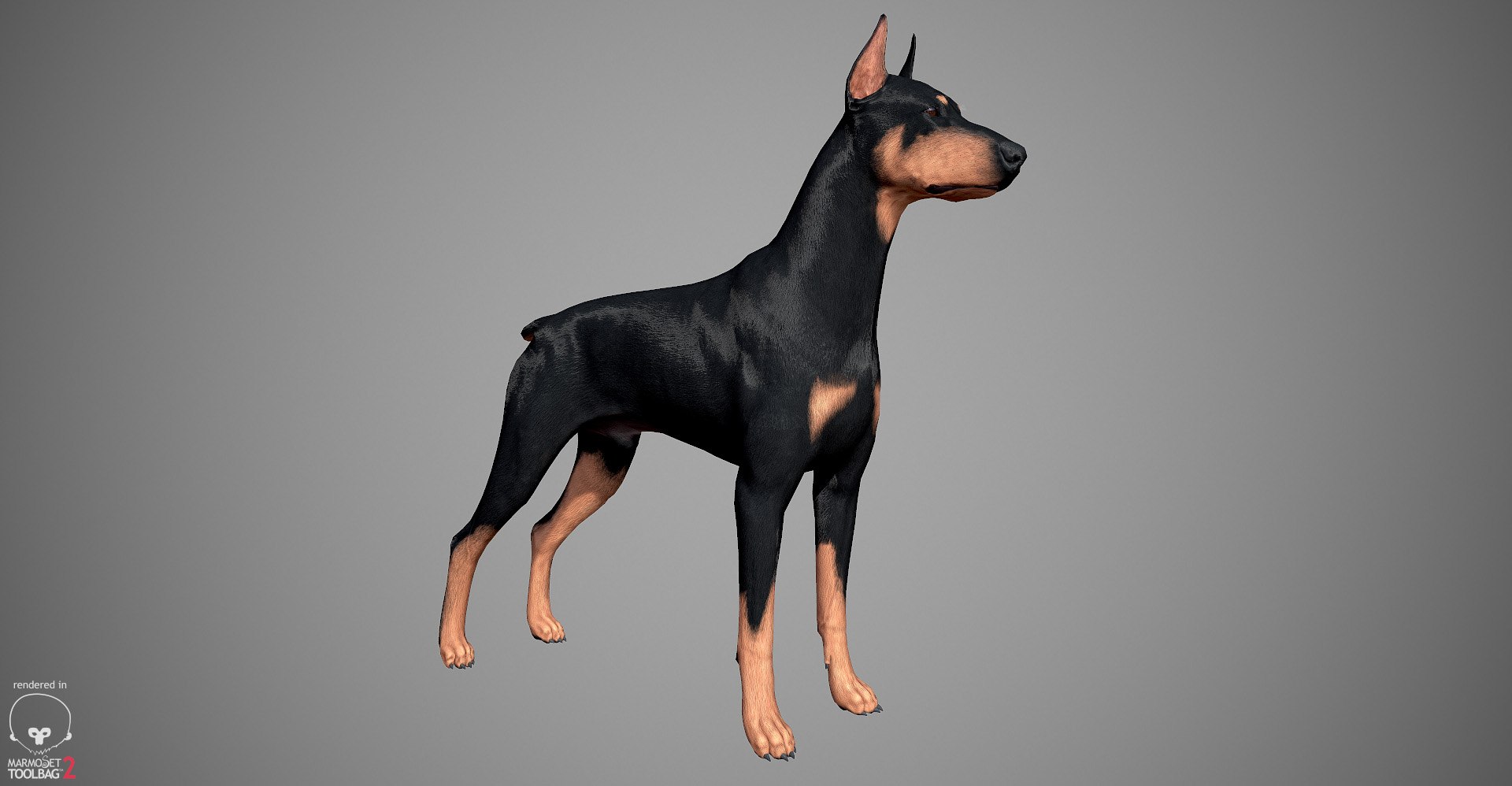 3ds guard dog pack https://p.turbosquid.com/ts-thumb/Ex/GFacbU/93nzp6uQ/doberman_by_alexlashko_marmoset_01/jpg/1472654119/1920x1080/fit_q87/0b5929148005da1f37ee4a466040c9eea49daeaa/doberman_by_alexlashko_marmoset_01.jpg