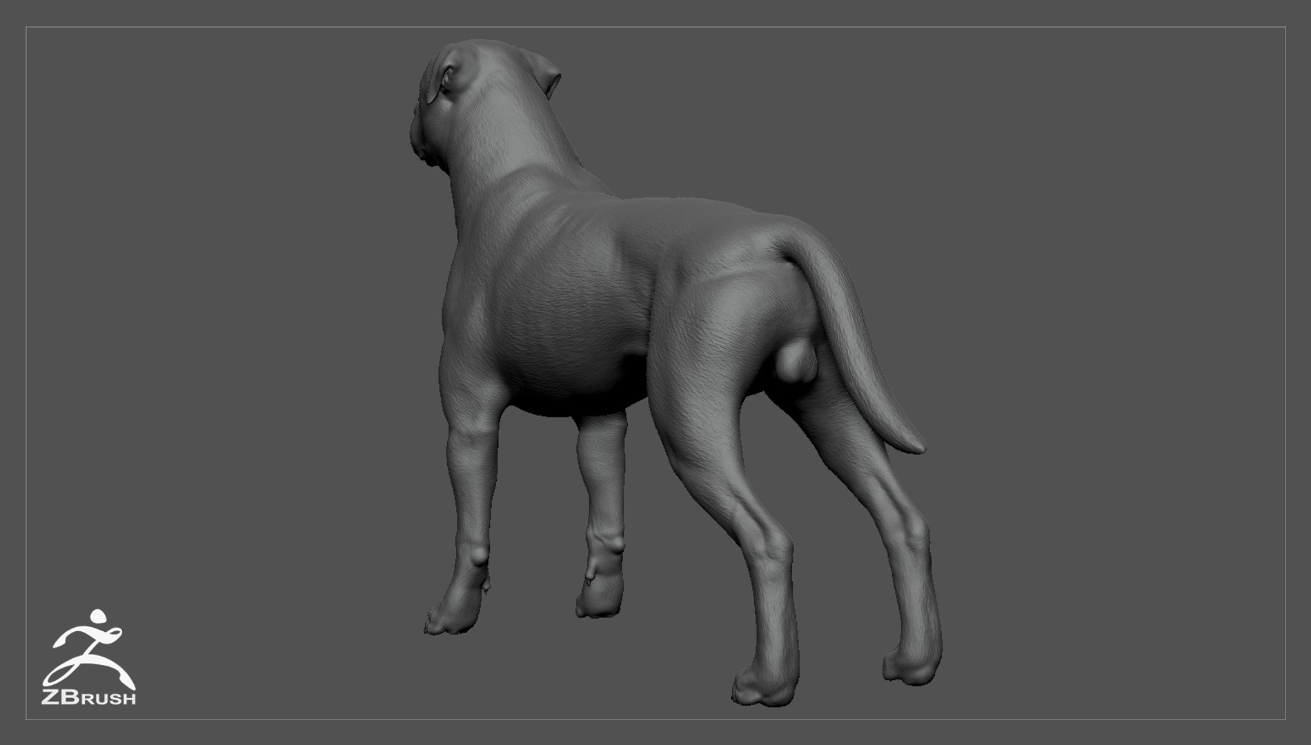 3ds guard dog pack https://p.turbosquid.com/ts-thumb/Ex/GFacbU/9Re1uolR/rottweiler_zbrush_05/jpg/1472651285/1920x1080/fit_q87/a5776b527ec27d7a95fadcfc6dbcce1494baf247/rottweiler_zbrush_05.jpg