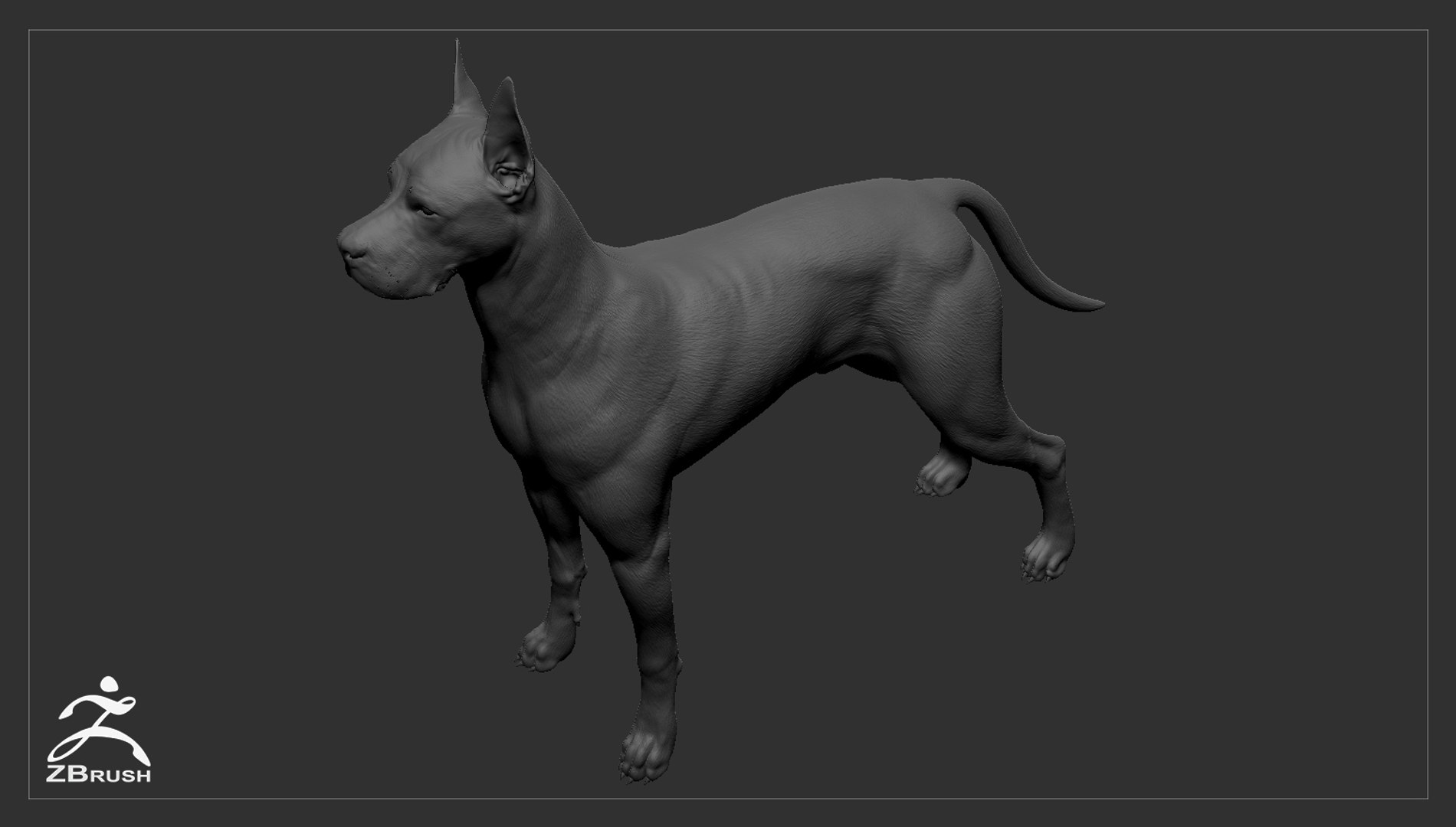 3ds guard dog pack https://p.turbosquid.com/ts-thumb/Ex/GFacbU/9UmFML4l/greatdane_zbrush_03/jpg/1472653568/1920x1080/fit_q87/00d048b5bce2ba9bd6661291dbddcee17d6c24a2/greatdane_zbrush_03.jpg