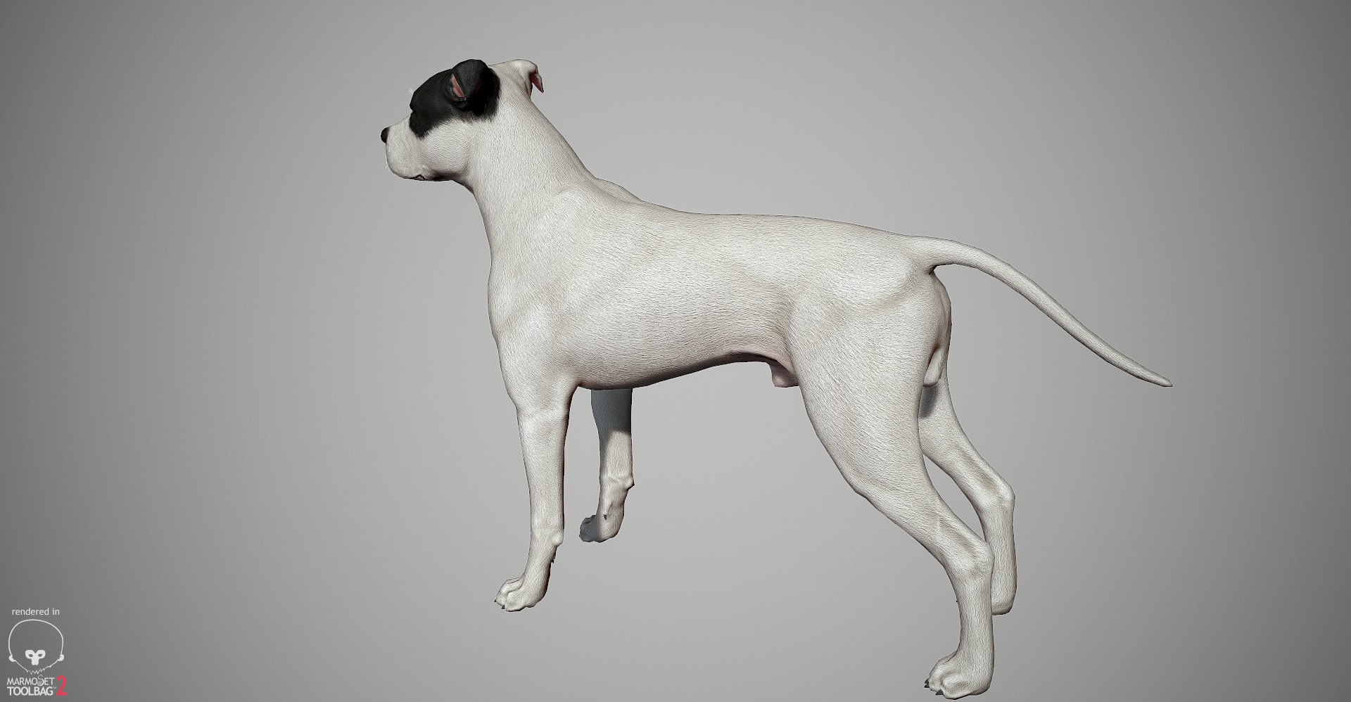 3ds guard dog pack https://p.turbosquid.com/ts-thumb/Ex/GFacbU/ArXcODw6/pitbull_by_alexlashk_marmoset_21/jpg/1472646619/1920x1080/fit_q87/565a5832e52b04d7d37cf844120a2295f68d06a4/pitbull_by_alexlashk_marmoset_21.jpg