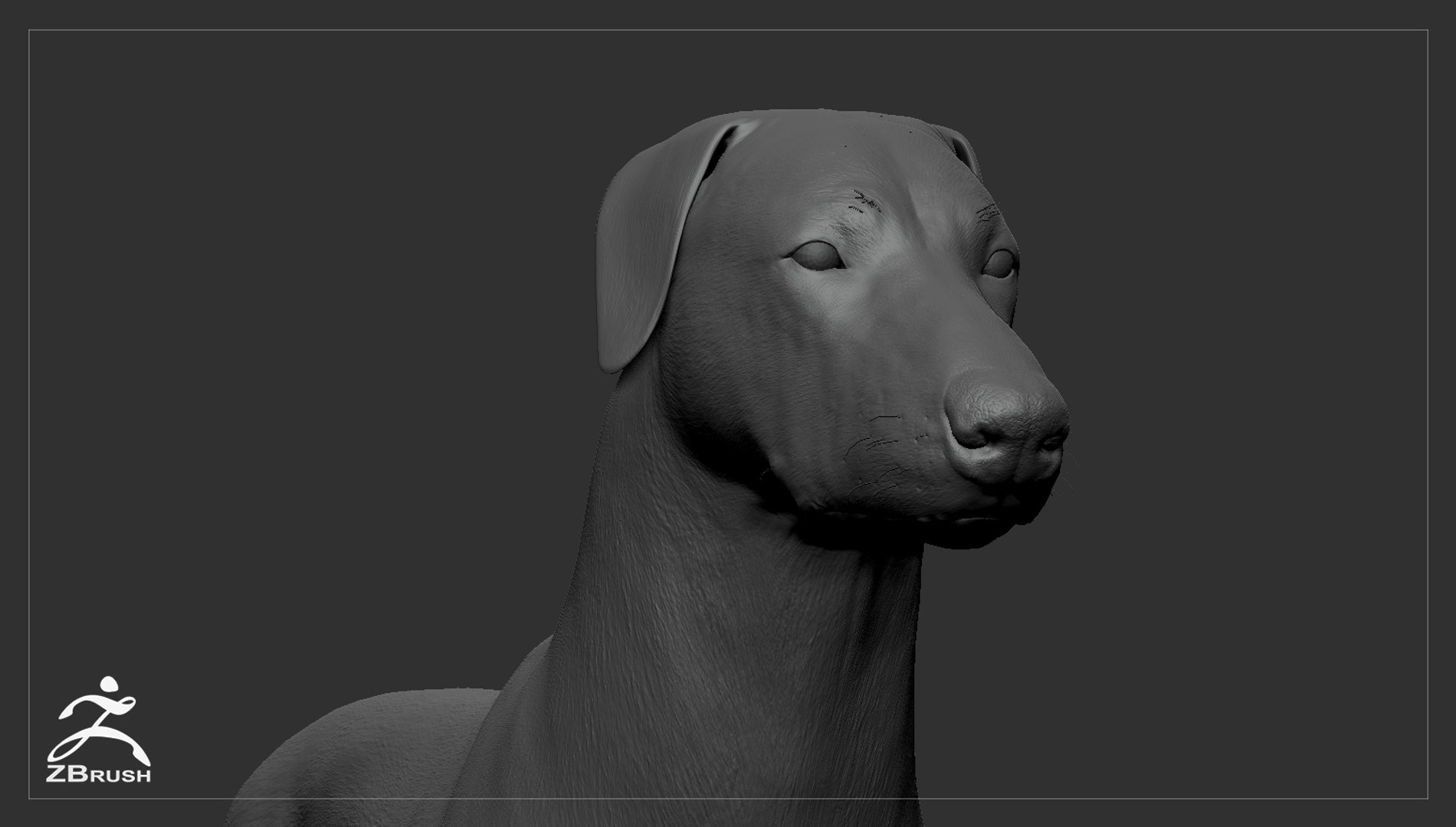 3ds guard dog pack https://p.turbosquid.com/ts-thumb/Ex/GFacbU/BG7yJJeX/doberman_by_alexlashko_zbrush_06/jpg/1472654814/1920x1080/fit_q87/e21e8cfb55a7db99392f378fd571a90430f2c6ae/doberman_by_alexlashko_zbrush_06.jpg