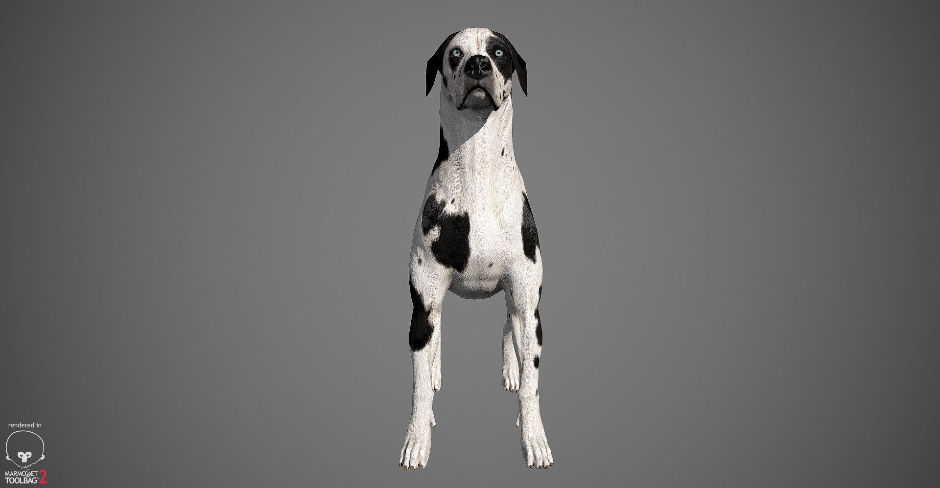3ds guard dog pack https://p.turbosquid.com/ts-thumb/Ex/GFacbU/DHE7al12/greatdane_marmoset_harl_17/jpg/1472653258/1920x1080/fit_q87/674caa7c268b7fa4e0a3d66319c7e31bc27c803a/greatdane_marmoset_harl_17.jpg