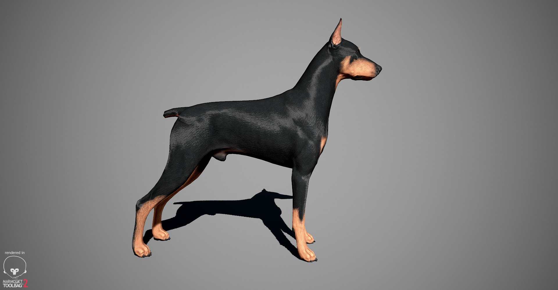 3ds guard dog pack https://p.turbosquid.com/ts-thumb/Ex/GFacbU/DibCQ6FF/doberman_by_alexlashko_marmoset_13/jpg/1472654119/1920x1080/fit_q87/bfea9bce7018389586663c3c7601f98777095e25/doberman_by_alexlashko_marmoset_13.jpg