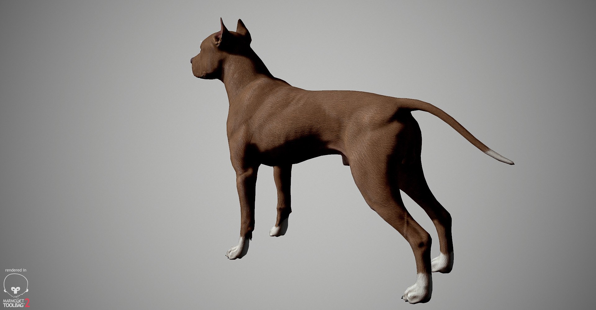 3ds guard dog pack https://p.turbosquid.com/ts-thumb/Ex/GFacbU/DrvMHm0y/pitbull_by_alexlashk_marmoset_26/jpg/1472646619/1920x1080/fit_q87/2bfd83ea5859ee0b94c95c465610d7b84d516481/pitbull_by_alexlashk_marmoset_26.jpg