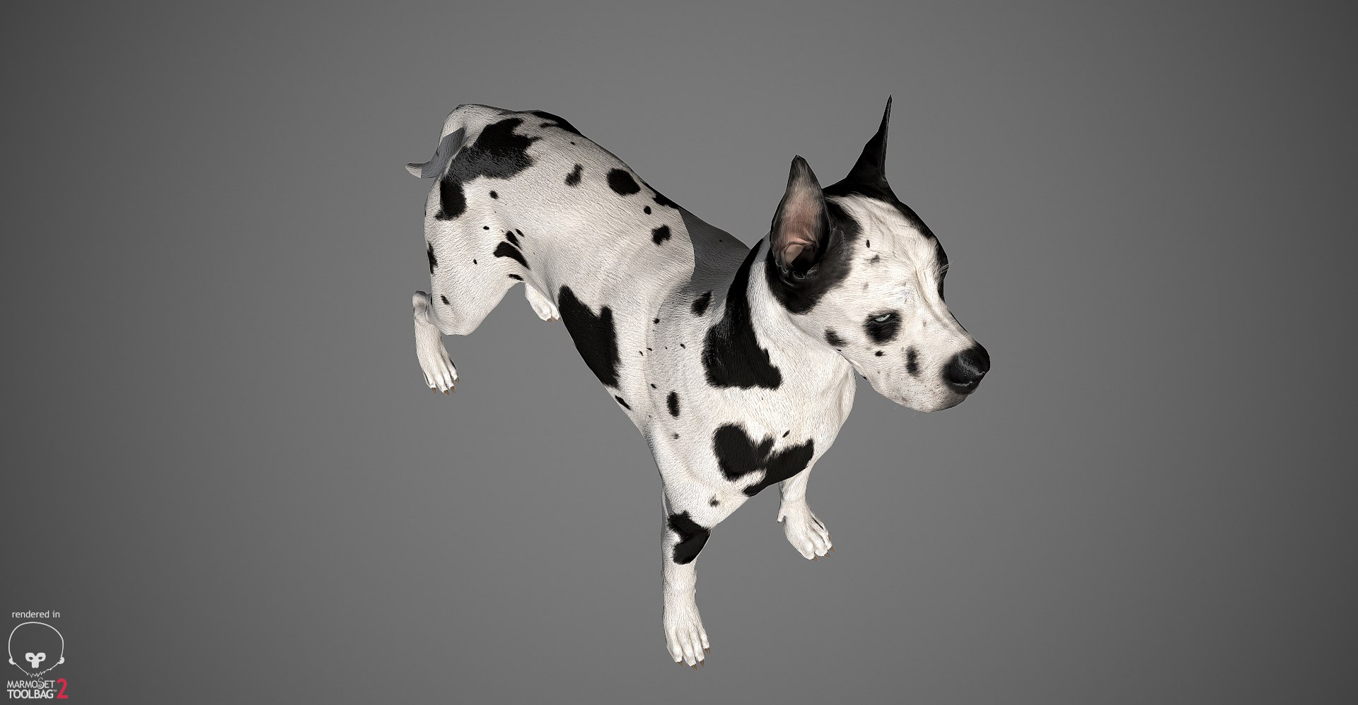 3ds guard dog pack https://p.turbosquid.com/ts-thumb/Ex/GFacbU/EAiaO2Ak/greatdane_marmoset_harl_08/jpg/1472653258/1920x1080/fit_q87/6edc29141869193246c633eed2b70ed85984c023/greatdane_marmoset_harl_08.jpg